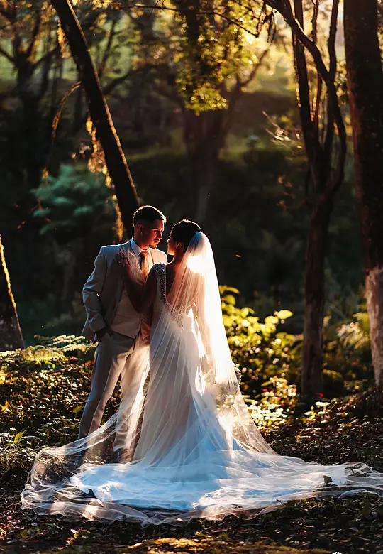 Casal abraçado no bosque com a luz do fim de tarde