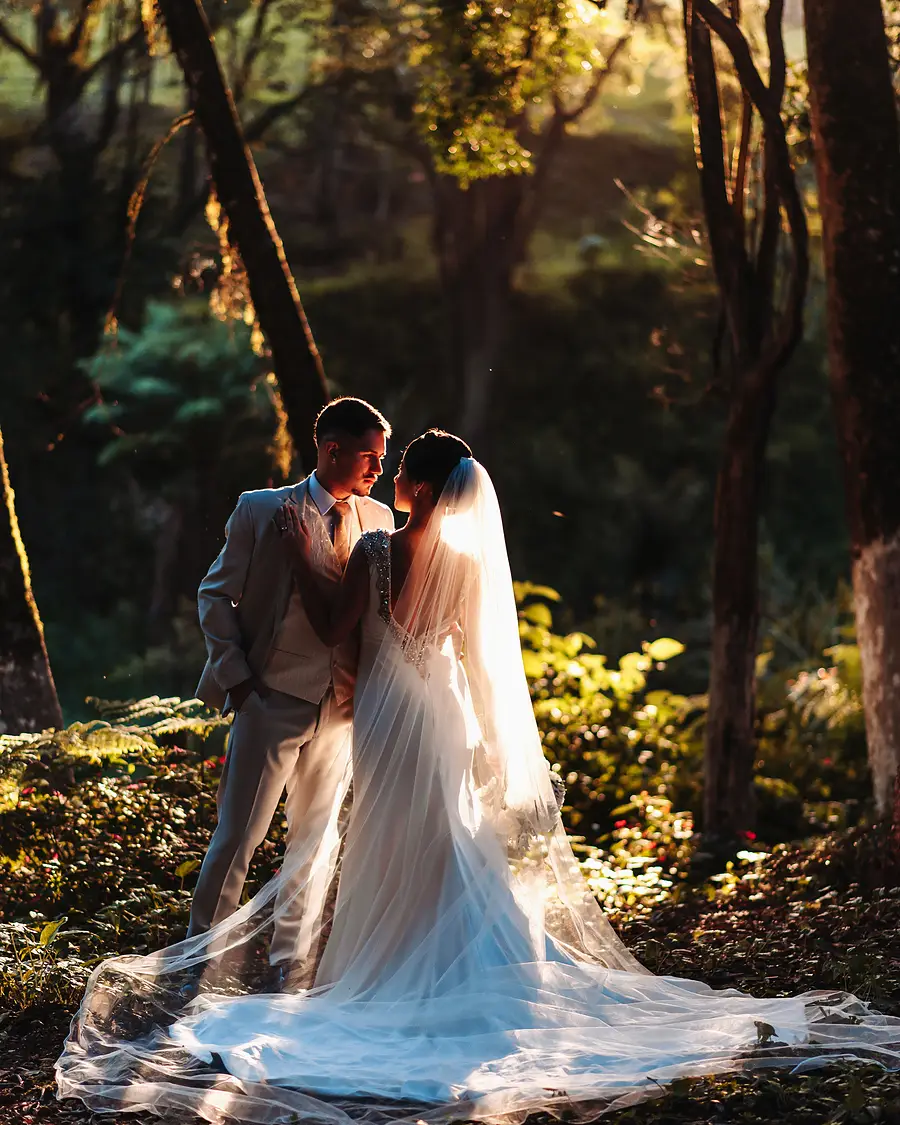 Casal abraçado no bosque em contraluz