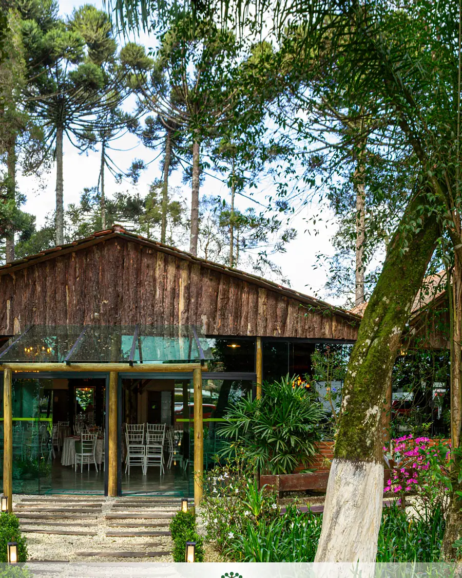 Salão de madeira e vidro entre araucárias
