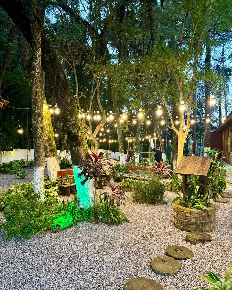 Jardim com luzinhas e caminho de pedras